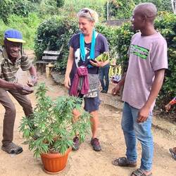 Man ist stolz auf sein Ganja, Kaffee und Plantains