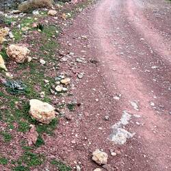 Rückweg über die Old Road