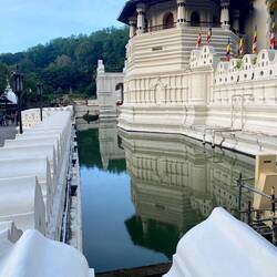 Königspalast und Zahntempel