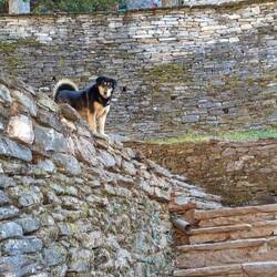 der hat schon gewartet auf uns
