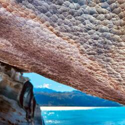 Die "Fingerabdrücke" aus der Nähe