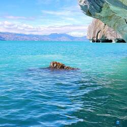 Im Hintergrund sieht man die Kathedrale