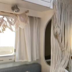 OMG, arme Molly 🫣🚐