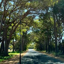 Beautiful drives to wineries in Margaret River