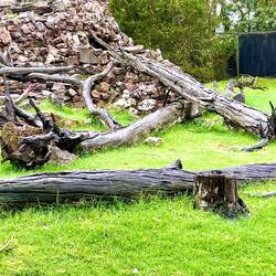 Wer hat sich hier versteckt???