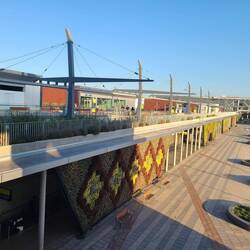 Walking over to domestic terminal, fresh air feels so good & some cool vegetation art.