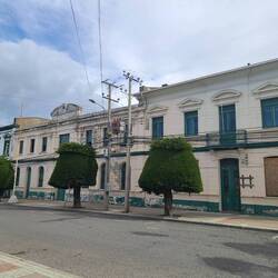 These trees were interesting 🌳