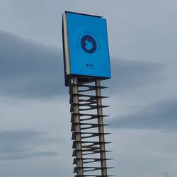 Their thermometer (that I never figured out).