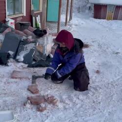 Gefrorenes Hundefutter zerschlagen 🪓😎