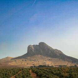 das war keine Irritation - ich bin mir sicher jeder sieht das, was ich darin gesehen habe