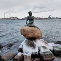 Natürlich darf die kleine Meerjungfrau nicht fehlen 🧜🏼‍♀️