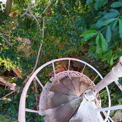 Im botanischen Garten