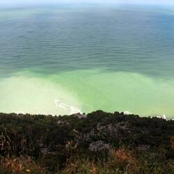 es sind wohl Algen, welche diese Farbe erzeugen