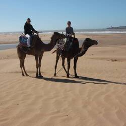Max seine war brav und hat sich füttern lassen ...sie hieß Cappuccino