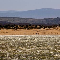 da gehen wir später hin