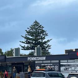 der einzige Supermarkt, aber gut sortiert 👍