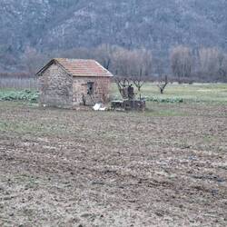 Eine alte Pumpe mitten auf dem Gemüsefeld.