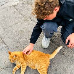 Unseren Lucky 😻haben wir auch getroffen 😍