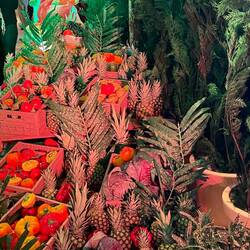 Deko im Eingangsbereich