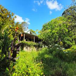 Haupthaus mit Aufenthaltsraum, Küche und Badezimmer