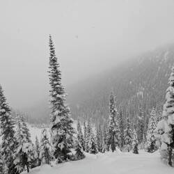 Während der geführten Tour