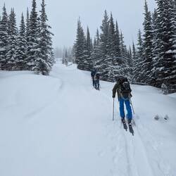 Während der geführten Tour