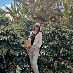 Wir dürfen selber pflücken, nur hat es keine reifen Beeren mehr (die wären rot).