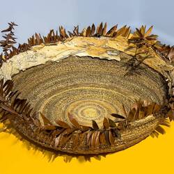 "Lacrime" by S.P. Winn — Geraldton Regional Art Museum.