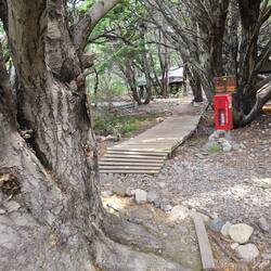 Tents are in background.