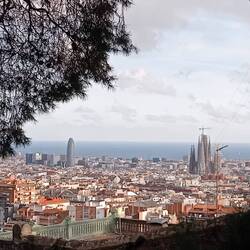 Sagrada Familia: ZU gross für Barcelona?