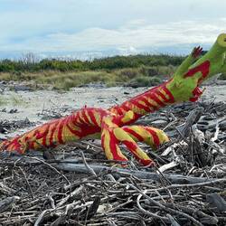 Painted driftwood. new Years day walk on Westport beach