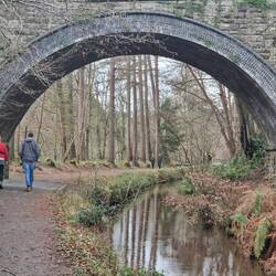 On the way to Horseshoe Falls