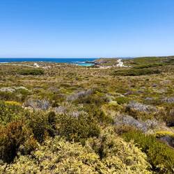 Scenery during our walk from Parker Point ... Little Salmon Bay in the distance — Rottnest Island.