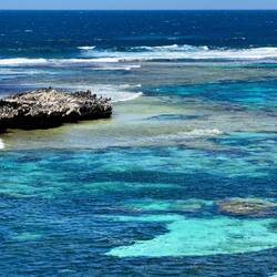 Rottnest Island, WA.