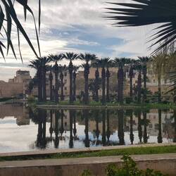 Zwischenstopp königlicher Garten, eine Ruheoase