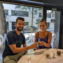 Mate-Verkostung: traditionelle Yerbas und Blends