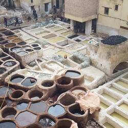 Die Gerberei von oben... puh das riecht vielleicht streng! Es gibt Minzsträuße für empfindsame Nasen