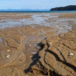 Braided rivers on the beach