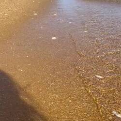 The music of the ripples on the sand