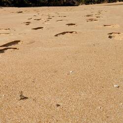 That feeling when your foot goes through that dry crust on top of the sand