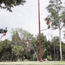 Danza de los Voladores (they start 30m high)