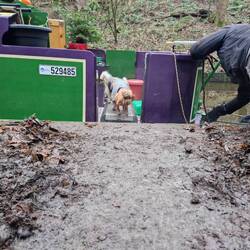 We needed to clear a pathway through the mud for the dogs!