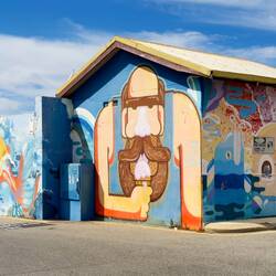 "Too Much Colour" ... at the Esplanade Reserve — Fremantle, WA.