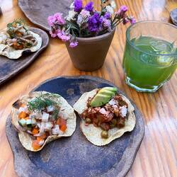 Im veganen Restaurant mit Ceviche-Tostadas, was eigentlich Fisch ist, hier aus Pilzen hergestellt