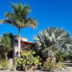 Eingang von "unserem" Campingplatz in La Paz