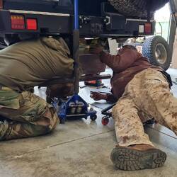 Same procedure as last year