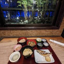 My dinner, and my view