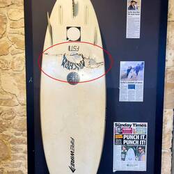 Haiattacke im Surfbrett