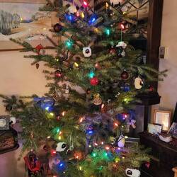 A Tannenbaum