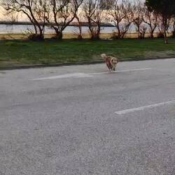 Frühsport, Nachbarn wecken 😂